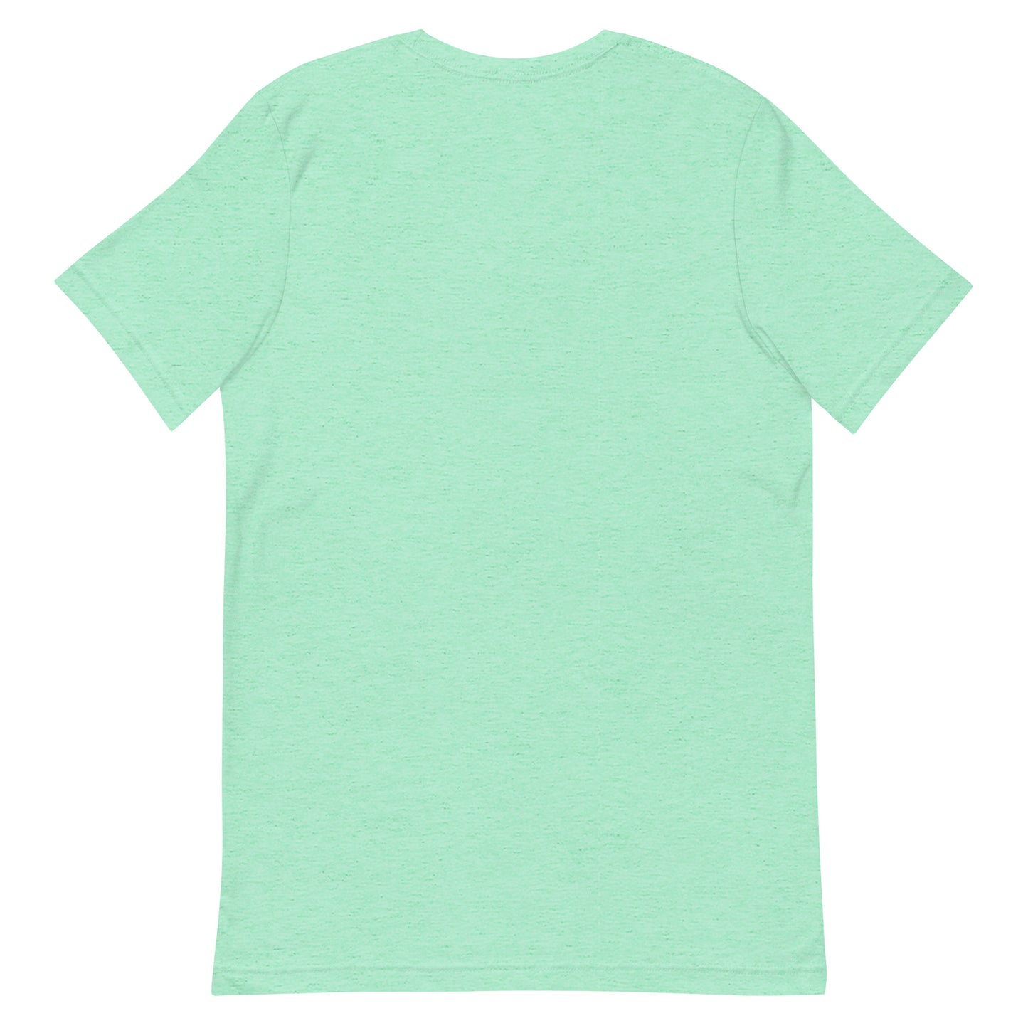 Unisex t-shirt "Ski Turtle"